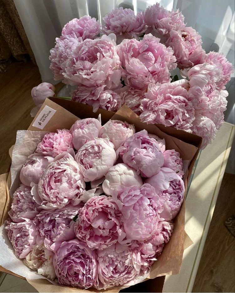 ciceklendirdik's tweet photo. 💗 https://t.co/OYK2o9rgq8