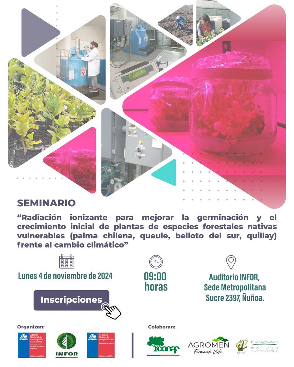 cchen_gob's tweet photo. Te invitamos a un seminario sobre el uso de la radiación ionizante para mejorar la germinación y crecimiento de especies forestales nativas, a cargo de @INFOR_Minagri y @cchen_gob.

🗓️Lunes 4/nov | 9:00 h
📍Auditorio INFOR (Sucre 2397, Ñuñoa)

Inscripción: https://t.co/N6GfASVk6y https://t.co/iT8oPTjWP8