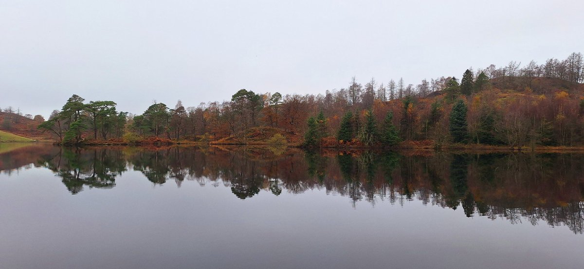 Liz Patching tweet media