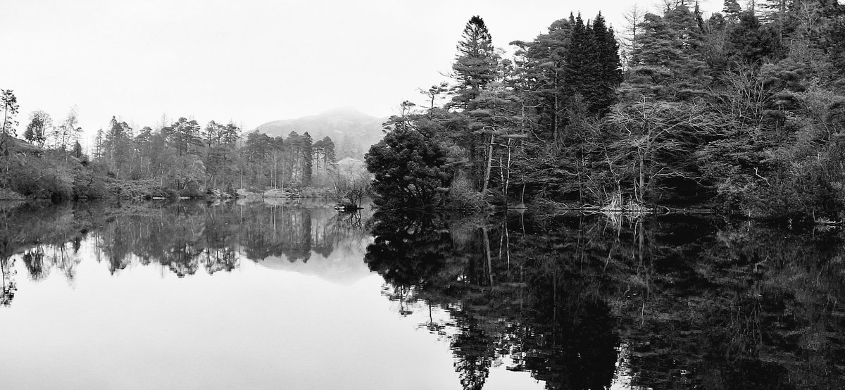 Liz Patching tweet media