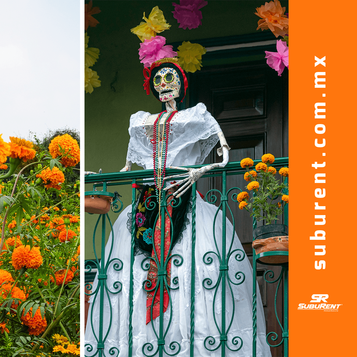 SUBURent's tweet photo. Con #SubuRent sumérgete en las #tradiciones más importantes de #México
.
¡Tu mejor opción para moverte por #Veracruz!
𝗥𝗘𝗦𝗘𝗥𝗩𝗔 𝗬𝗔 📲 229 951 2166
#viajes #autospremium #traslados #rentadeautos #rentacar #VeracruzPuerto https://t.co/weFi6JlSVh