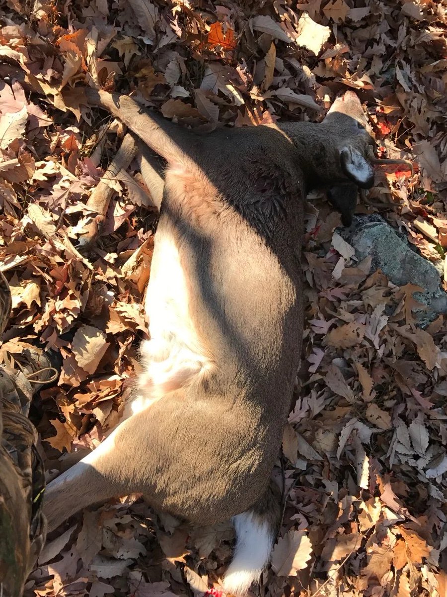 You join a hunting team. It's exciting, but it feels cruel in the end.