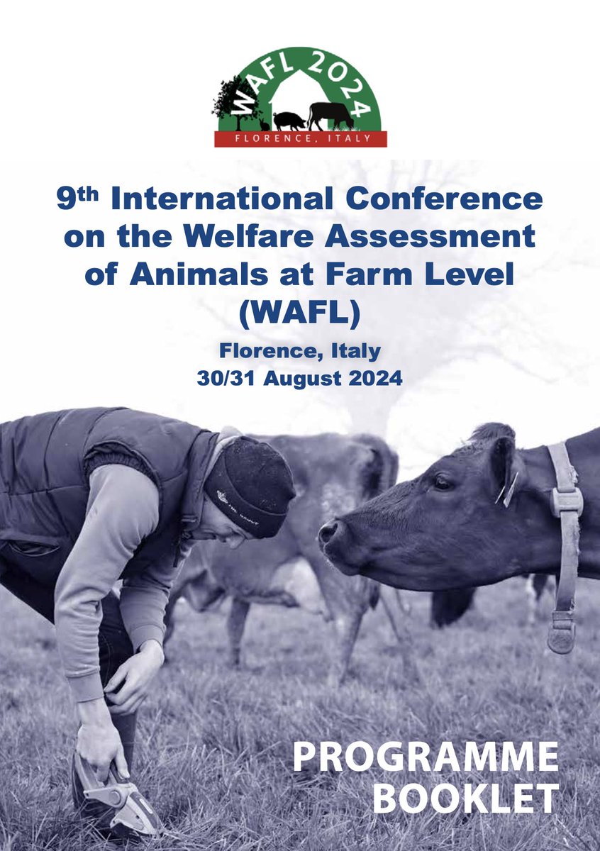 Anna Naim tweet media