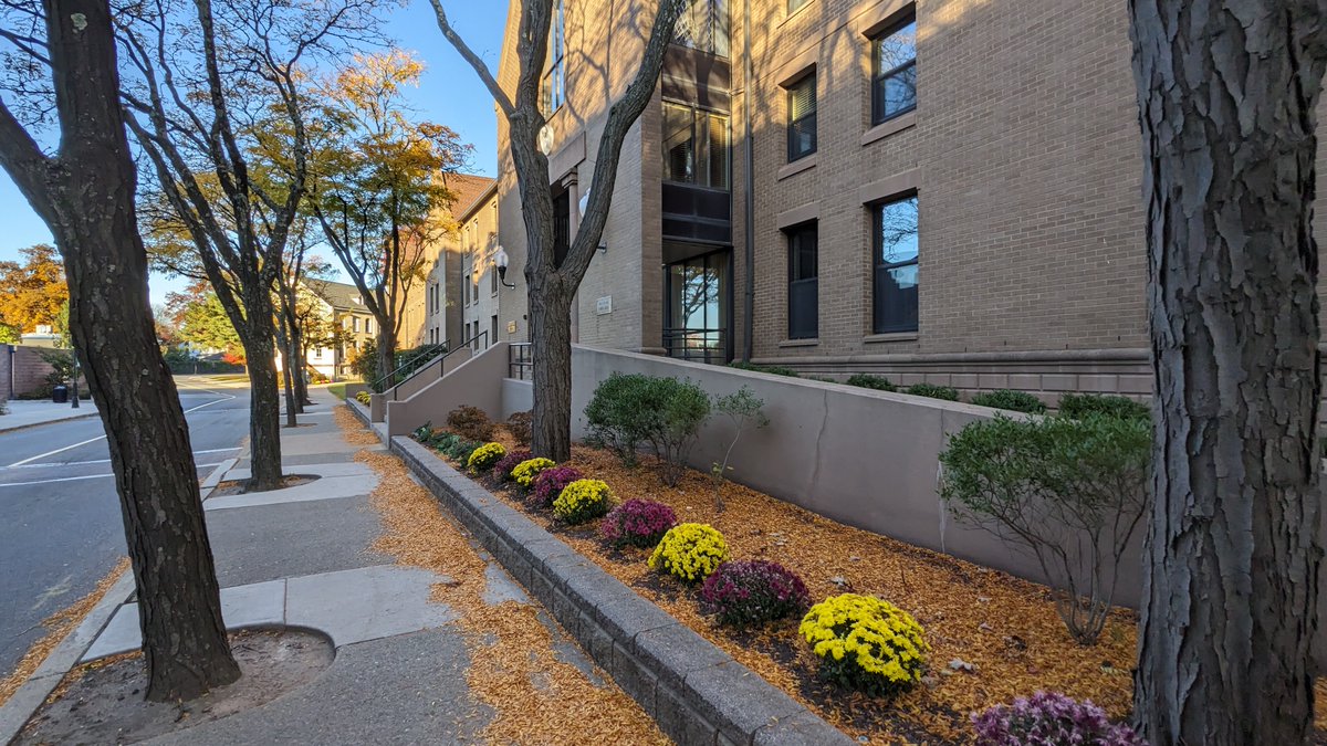 Feels like fall at <a href="/SetonHall/">Seton Hall</a>. #GoPirates