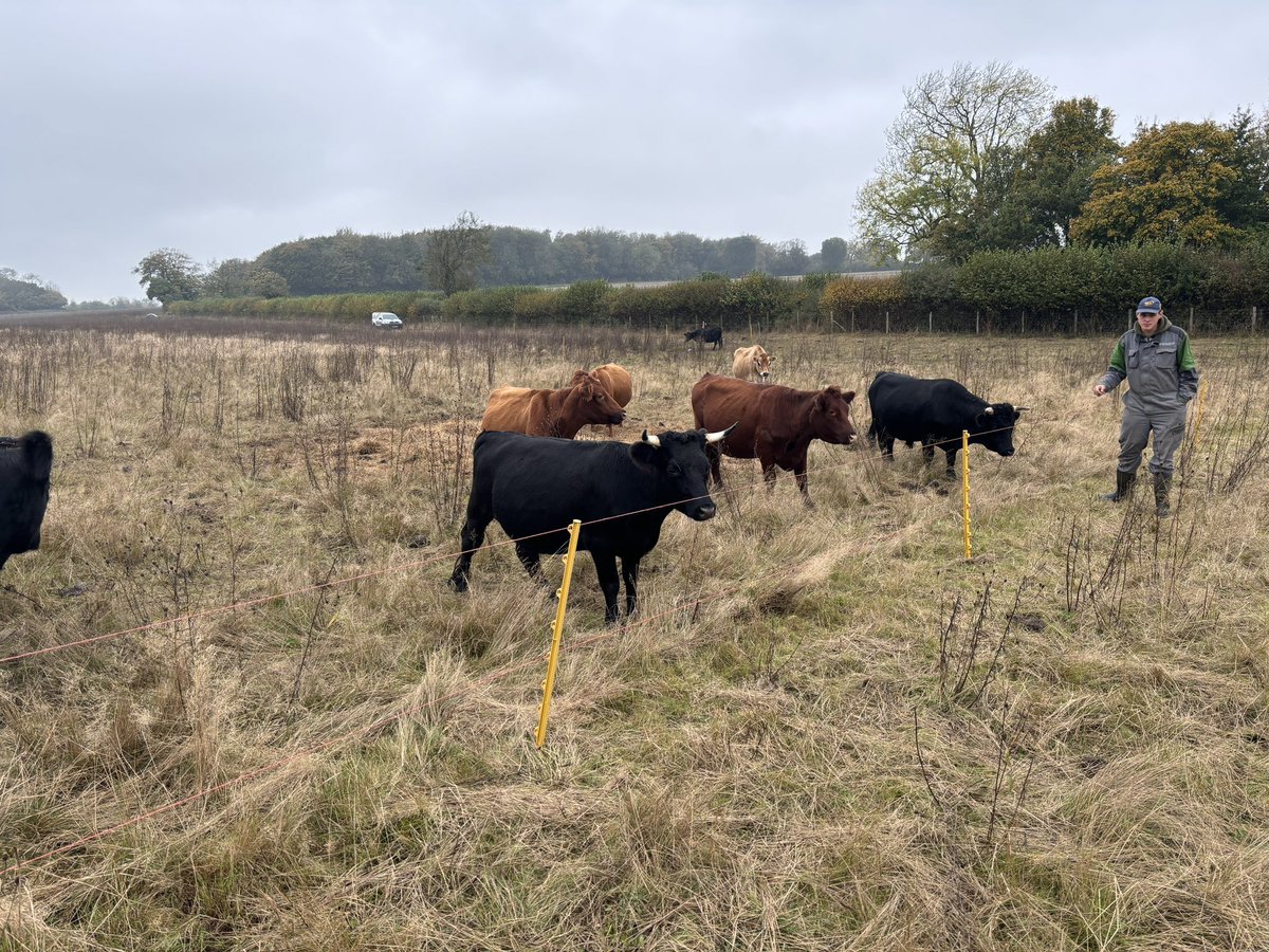 Henry1043's tweet photo. Regenerative farming principles and practices discuss and demonstrated to 1st year agriculture students from Anglia Ruskin Writtle. Thanks to Emma and James @NoningtonFarms for demonstrating the importance and benefits of their approach. https://t.co/1Dwd7nOl4b
