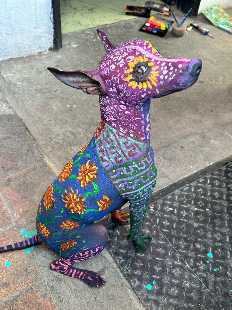 Dilo con perritos tweet media