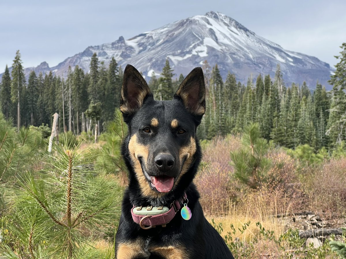 GM GM ✨ 
Today is the day, take chances, make those difficult decisions, tell the ones you love that you love them… they need to hear it 🙏🏻 abundance of love from the Daze Fam out here in the sticks 💛🌲