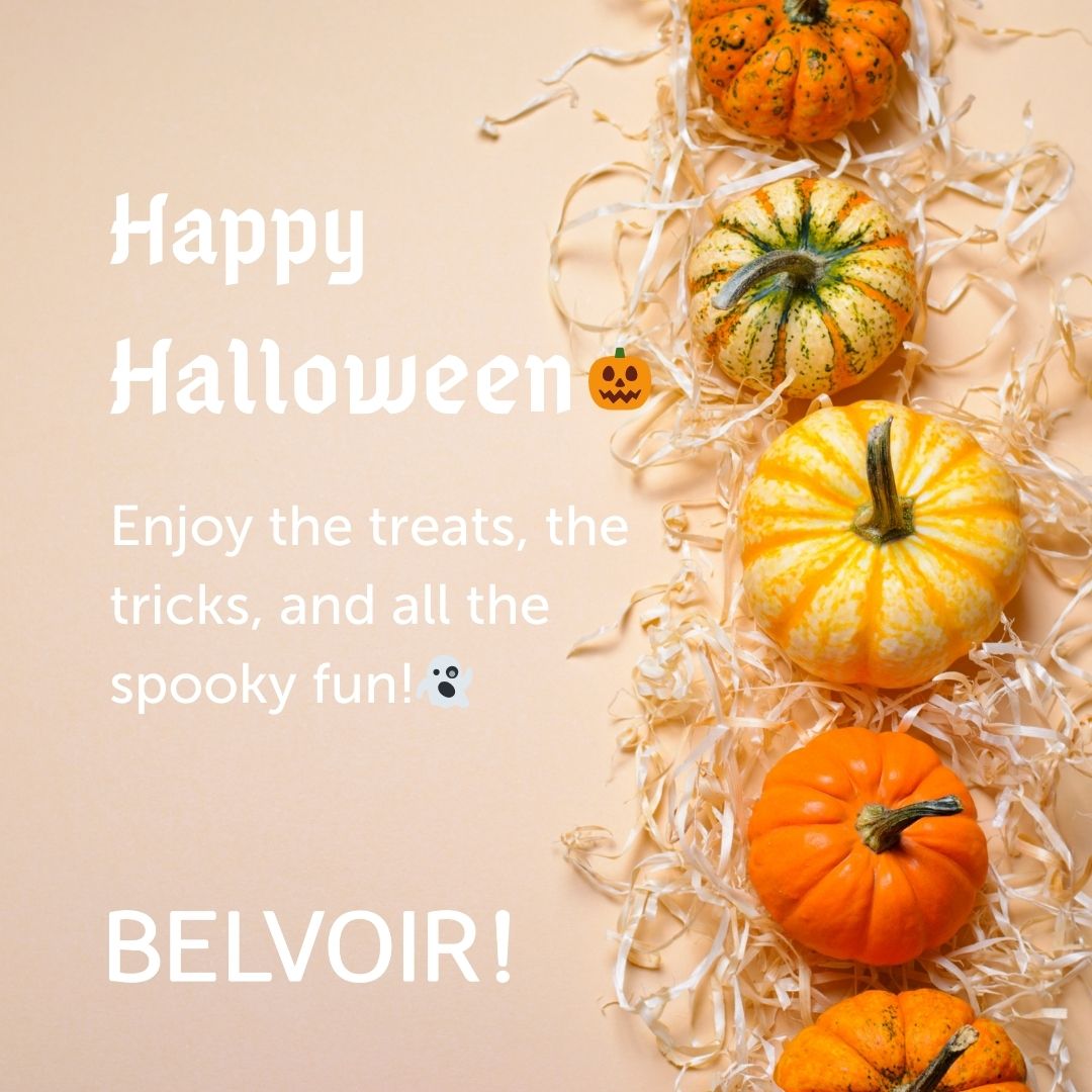 GlosBelvoir's tweet image. Don’t let selling your home haunt you! 👻 Our team will make it a *boo-tifully* smooth experience from start to finish. 🎃🏡 #HappyHalloween #SpooktacularService #BelvoirGloucester