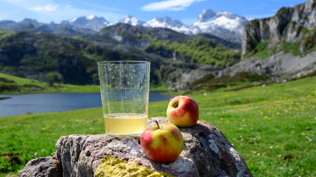 En #Asturias, el otoño trae el Amagüestu. De octubre a diciembre, los pueblos celebran con castañas asadas, sidra y danzas folclóricas. ¡Una experiencia cultural asturiana imperdible! 🌰

👉 n9.cl/g2bjz

#VisitSpain #TeMerecesEspaña #SpainTraditions <a href="/turismoasturias/">TurismoAsturias</a>