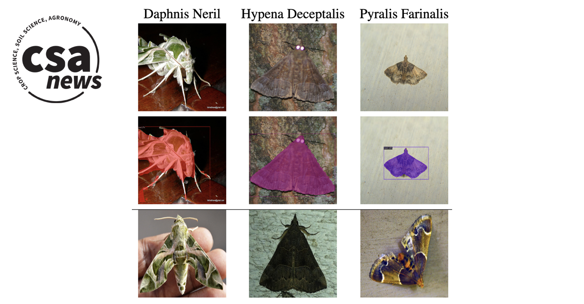 Agronomy, Crop, and Soil Science Societies (@asa_cssa_sssa) on Twitter photo 🐞 Check out this zero-shot AI model dataset with 6M images of important species that is vital to farming and environmental research! Learn more: ow.ly/Kzig50TRSaC
#ZeroShotLearning #AIModels #AgriculturalTech #EnvironmentalResearch
<a href="/chegday/">Chinmay Hegde</a> <a href="/FeuerBenjamin/">Benjamin Feuer</a> <a href="/AII4RA/">AIIRA - AI Institute for Resilient Agriculture</a> 🐞 Check out this zero-shot AI model dataset with 6M images of important species that is vital to farming and environmental research! Learn more: ow.ly/Kzig50TRSaC
#ZeroShotLearning #AIModels #AgriculturalTech #EnvironmentalResearch
<a href="/chegday/">Chinmay Hegde</a> <a href="/FeuerBenjamin/">Benjamin Feuer</a> <a href="/AII4RA/">AIIRA - AI Institute for Resilient Agriculture</a>