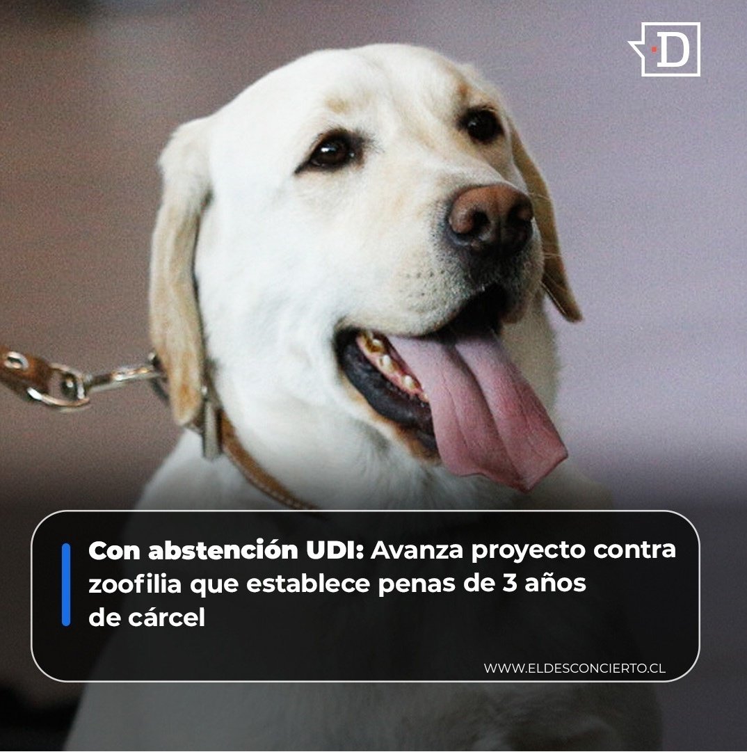 proldanlopez's tweet photo. Alguien me puede explicar por qué la Udi se resta de votar en un proyect9 de ley contra la Zoofilia?? Que tienen en la cabeza estos pajarracos!!, https://t.co/9niEs5WCTp