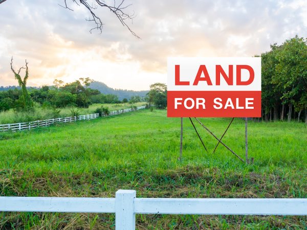 Freddy Michael Masarirevu⚖️ tweet media