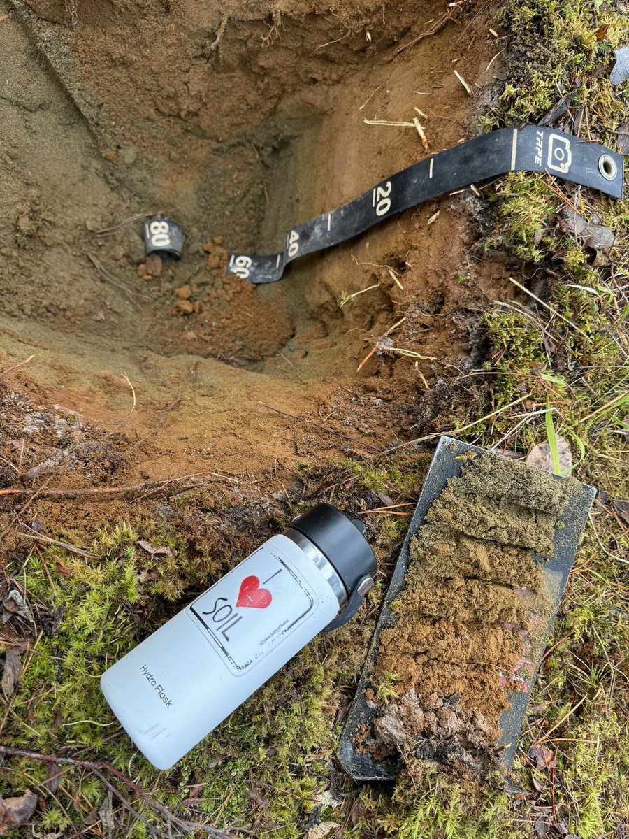 Dr. Raquel Portes tweet media