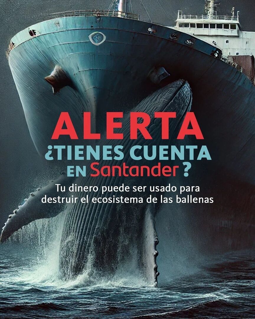 todossantosmap's tweet photo. @conexionesclimaticas
🚨‼️¿Darías tu dinero para financiar un proyecto mata-ballenas? ¡Santander puede estar por hacerlo!

📣 Vamos a dejarles claro que nos oponemos. ¡Nuestra voz es poderosa y puede marcar la diferencia!

Comenta en las redes de @santan… https://t.co/gIcdwKOPiB https://t.co/vroZ5JbGXR