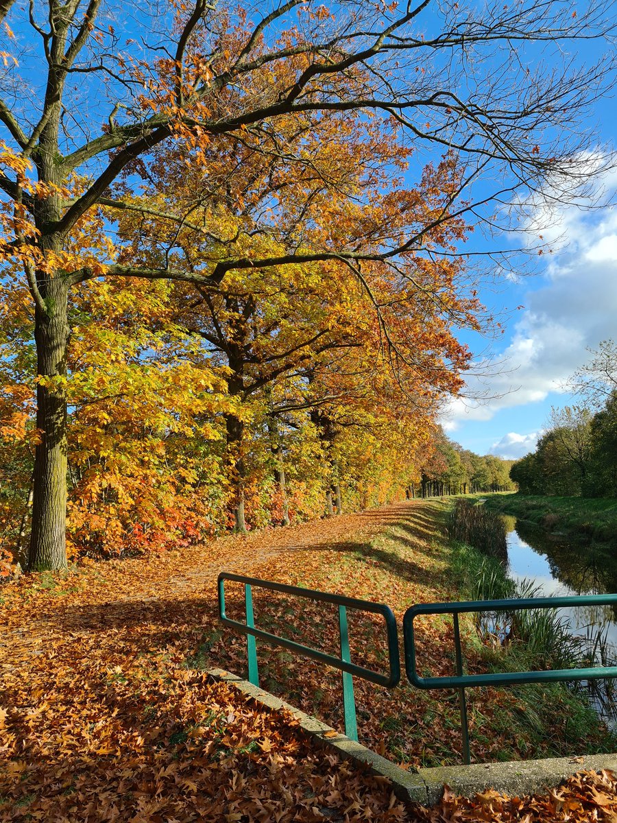 Ik vind het een leuk initiatief. Ik vraag iedereen die van de natuur houdt een foto te plaatsen. Een foto die jijzelf genomen hebt. Alleen een foto, geen omschrijving. Het doel is om een beetje rust en balans in de negatieve sfeer te creëeren. Doe je mee? Kopieer de tekst en deel