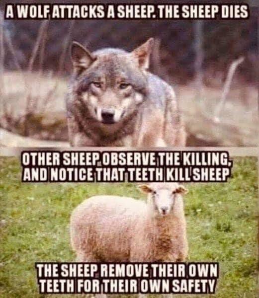Don't be a sheep.