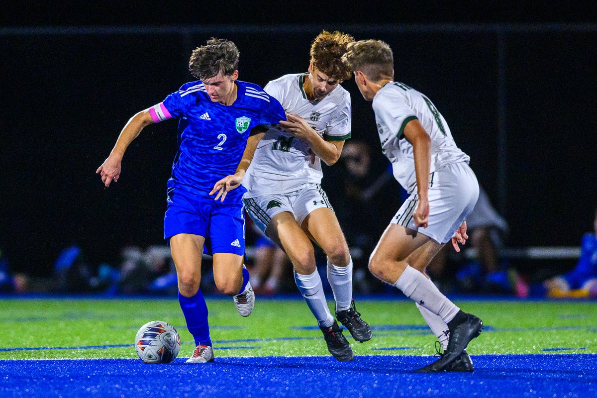 David Rainey tweet media