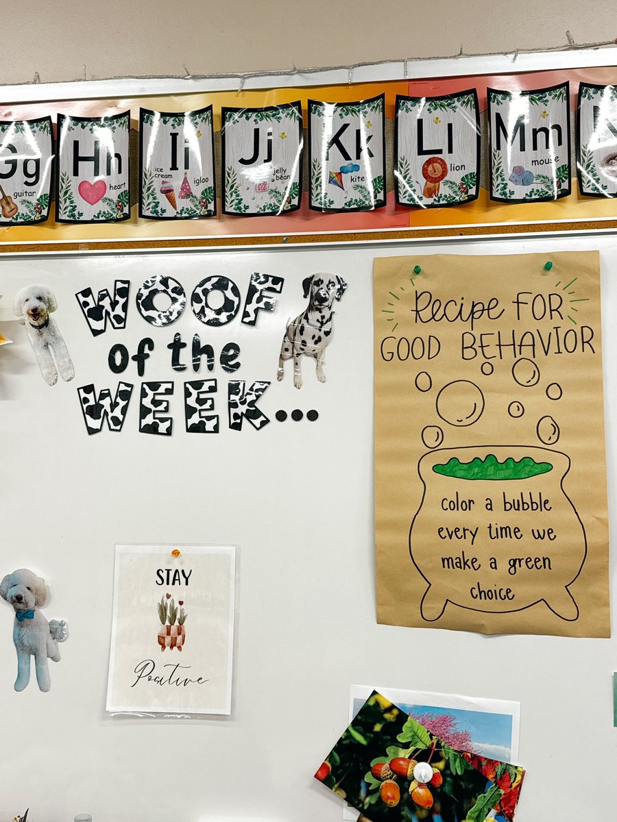 Jaclynn Sorensen tweet media