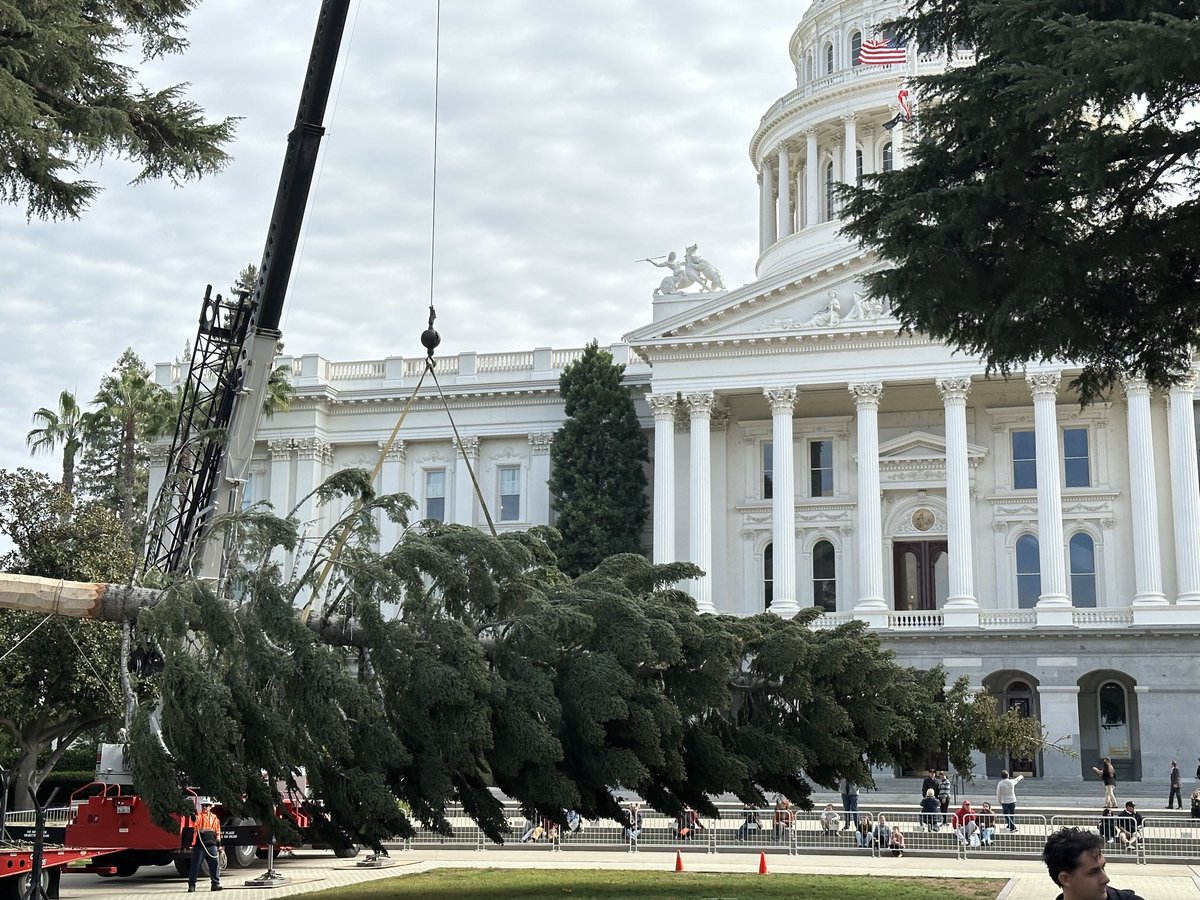 M. David Ruff 🇺🇦 tweet media