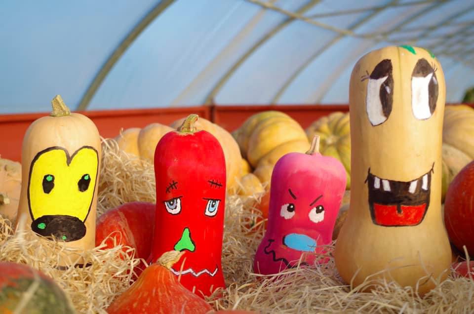C'est le moment de profiter de nos magnifiques courges customisées pour Halloween 👻 #ceuxquifontleslégumes #FrAgTw 🎃