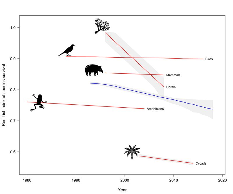 Estimates based on the <a href="/IUCNRedList/">IUCN Red List</a> tell us that one million species are currently threatened with extinction.

Parties to the CBD must halt and reverse biodiversity loss to achieve a #NaturePositive world by 2030.

Our updated Issues Brief:
shorturl.at/rlICx

via <a href="/IUCN/">IUCN</a>