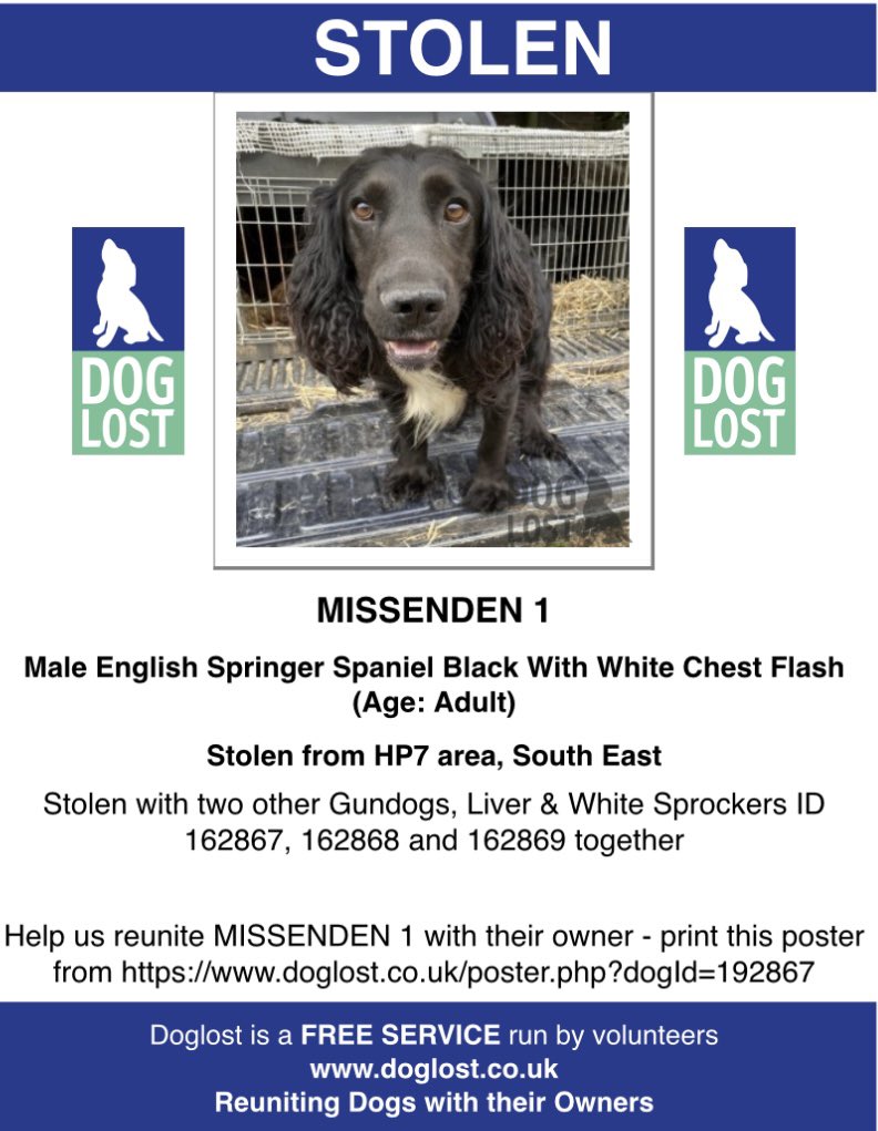 rosieDoc2's tweet photo. #SpanielHour 

THREE #Spaniels taken 
#Missenden 
1 female #ESS adult blk/white chest flash https://t.co/qzB1bRfonF
2 male #Sprocker young adult liver&amp;white https://t.co/TegcJE82Ka
3 female #Sprocker young adult liver&amp;white https://t.co/HYtC4zIMuP

#GundogTheftAwarenessWeek https://t.co/ALK1kv7Rtp
