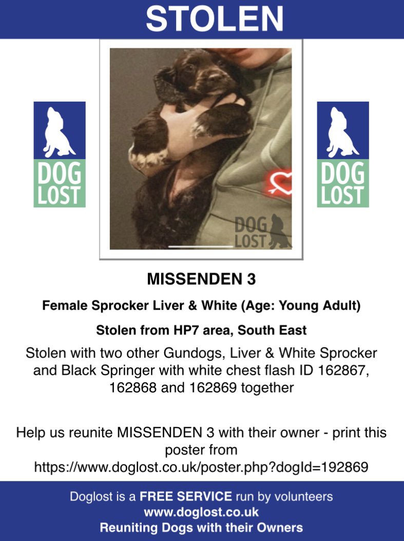rosieDoc2's tweet photo. #SpanielHour 

THREE #Spaniels taken 
#Missenden 
1 female #ESS adult blk/white chest flash https://t.co/qzB1bRfonF
2 male #Sprocker young adult liver&amp;white https://t.co/TegcJE82Ka
3 female #Sprocker young adult liver&amp;white https://t.co/HYtC4zIMuP

#GundogTheftAwarenessWeek https://t.co/ALK1kv7Rtp