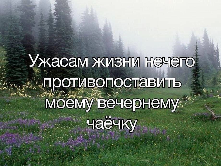 The horrors of life are nothing against my evening tea