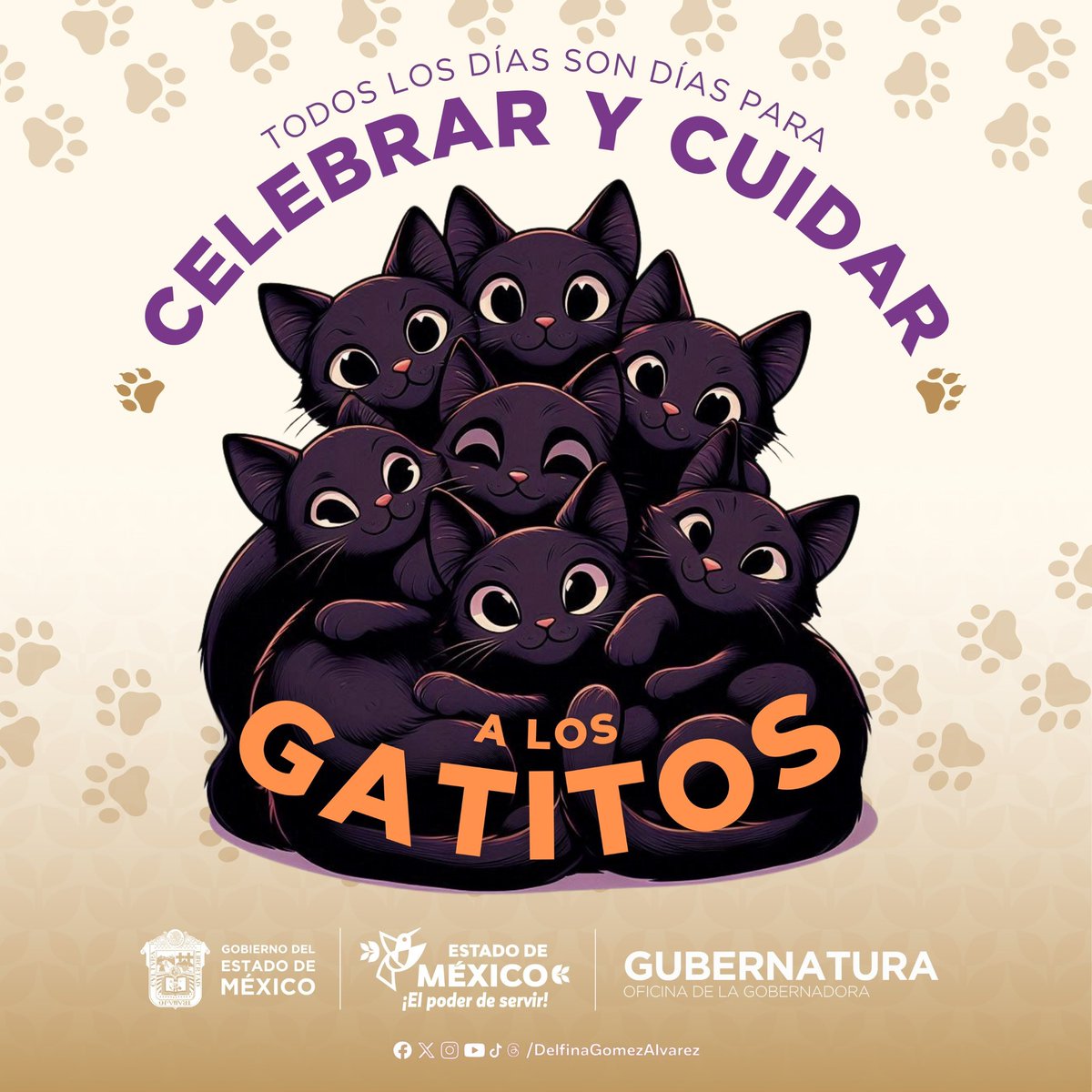delfinagomeza's tweet photo. Todos los días son para celebrar y cuidar a nuestros compañeros felinos 🐱. Con #ElPoderDeServir, hoy también recordamos la importancia de cuidar y proteger a estos pequeños amigos. Evitemos el abandono y maltrato, promovamos la adopción responsable y su bienestar. 🐾✨ https://t.co/TWDGr18wlm