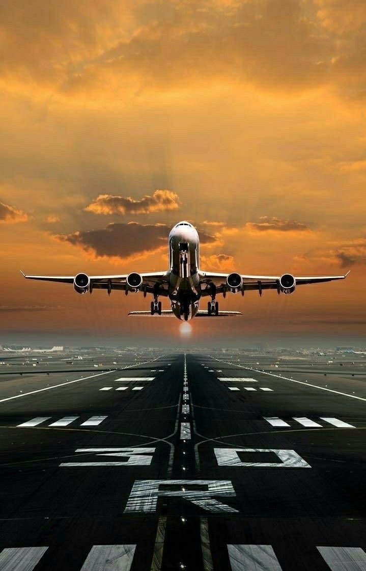 gunesisigii's tweet photo. ✨𝑌𝑈𝑅𝑇𝐷𝐼𝑆̧𝐼 𝑀𝐴𝑁𝐼̇𝐹𝐸𝑆𝑇𝐼̇ ✨

Bu gönderiyi gören, iz bırakan herkesin yurt dışıyla ilgili dileği 6 ay içinde kabul olsun 🤍

Dileğinize niyet ederek, olmuş gibi yazarak iz bırakabilirsiniz ✨

“Yurtdışına taşındım.”
“İtalya’ya tatile gittim.” https://t.co/ZPBnLKCi18