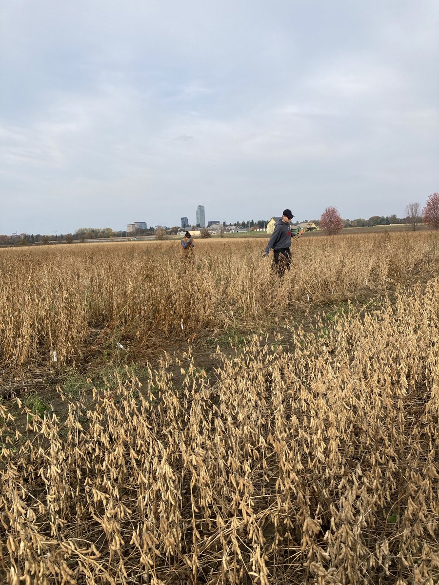 Elroy Cober tweet media