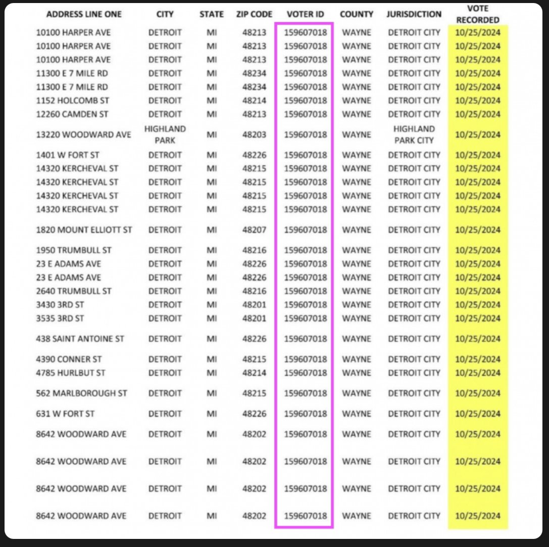 Detroit is the capital of election fraud.