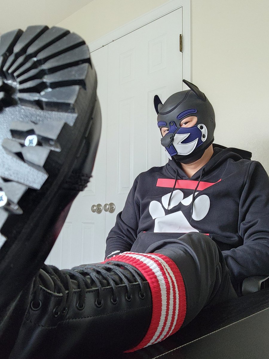 PupAegis tweet media