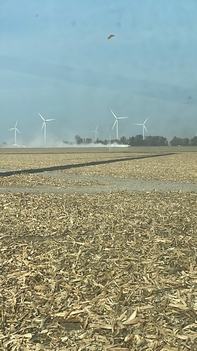 Noggle Farms tweet media