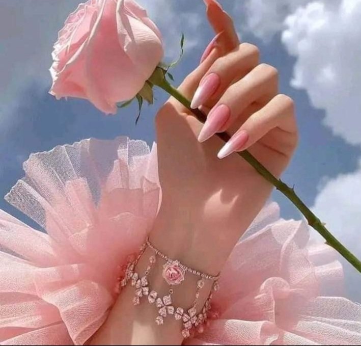 💕أمل الندى💕 tweet media