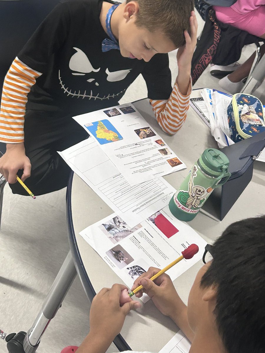 MsKAlexander_'s tweet image. Quiz Quiz Trade and Peer Editing make for an awesome Wednesday! #LISDScience #igtbavoyager @VickeryES