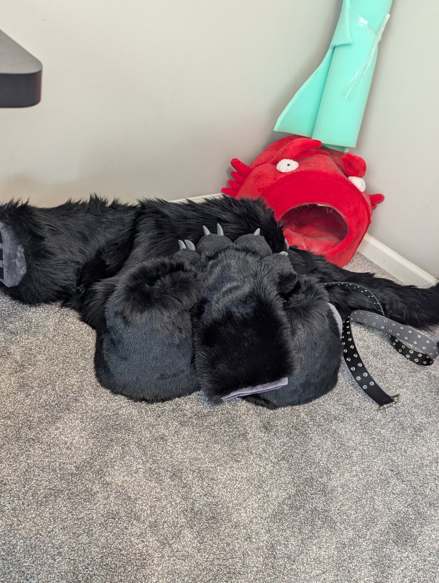 FluffyMeese's tweet photo. The corner of fuzzy blackness (and crab cat bed lol). Needs a bath, but it'll be after this weekend probs. https://t.co/wrmc81QORA