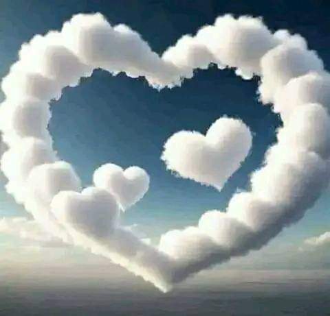 💕أمل الندى💕 tweet media