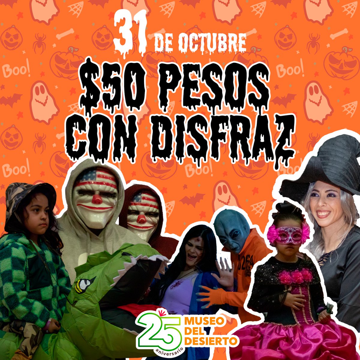 Museo del Desierto 🦖 tweet media