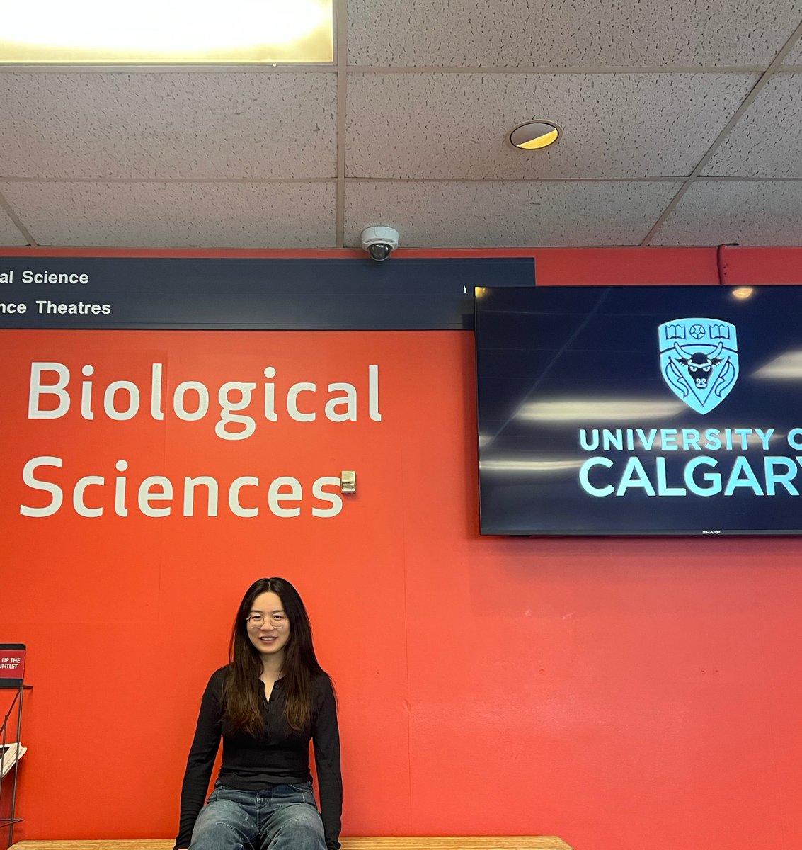 BotigueLab tweet media