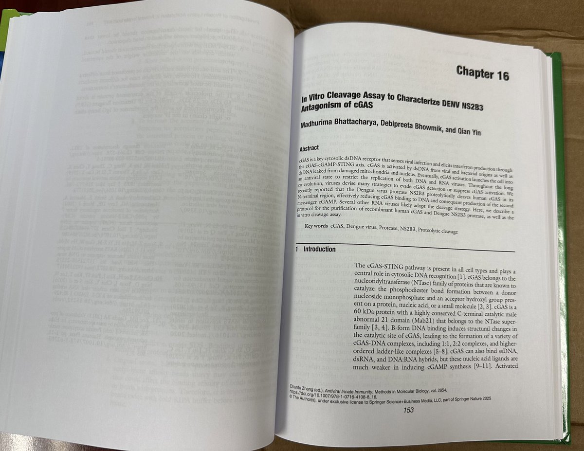 Yin Lab (@yin_lab_fsu) on Twitter photo Our protocol on Dengue virus protease cleavage of DNA sensor cGAS is out as a chapter in Springer Protocols’ Antiviral Innate Immunity book! Check out the work of <a href="/Maddy4890/">Madhurima Bhattacharya</a> and <a href="/Debipreeta_FSU/">Debipreeta Bhowmik</a>! <a href="/mobfsu/">MOB Graduate Program at FSU</a> <a href="/FSUcmb/">FSU Cell & Molecular Biology Program</a> Our protocol on Dengue virus protease cleavage of DNA sensor cGAS is out as a chapter in Springer Protocols’ Antiviral Innate Immunity book! Check out the work of <a href="/Maddy4890/">Madhurima Bhattacharya</a> and <a href="/Debipreeta_FSU/">Debipreeta Bhowmik</a>! <a href="/mobfsu/">MOB Graduate Program at FSU</a> <a href="/FSUcmb/">FSU Cell & Molecular Biology Program</a>