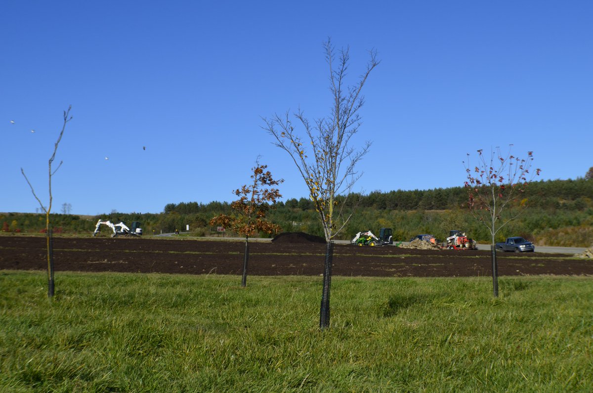Flight93Friends's tweet image. Work has begun at @Flight93NPS on soil remediation in the 40 Memorial Groves, part of the 'Resiliency Project' to restore trees. Experts are testing soil for nutrients &amp;amp; limestone. Learn more or contribute at flight93friends.org/resiliencyproj…. #EnvironmentalStewardships #ResiliencyProject