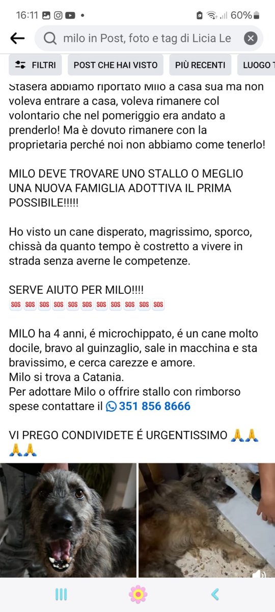 Gabriella Barghini tweet media