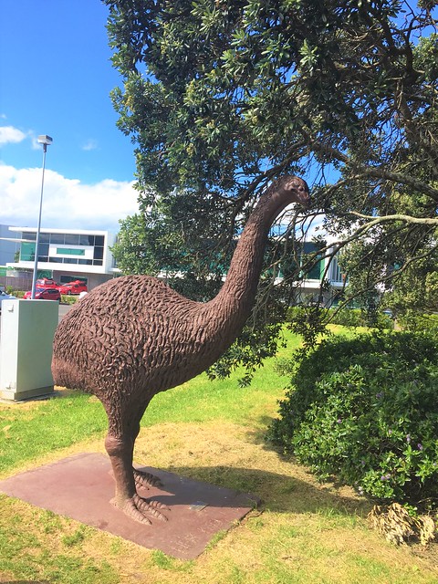 Landed in Auckland this morning and walked the newer path between international and domestic terminals. Where did the moa go?? I hope it's coming back... #moa #auckland #aucklandairport