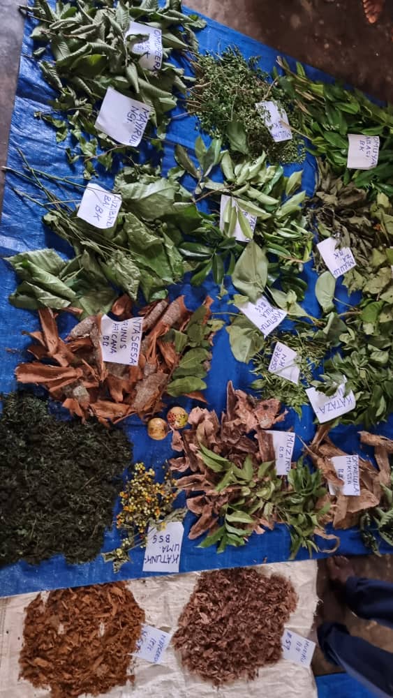 Prof. Maud Kamatenesi Mugisha tweet media