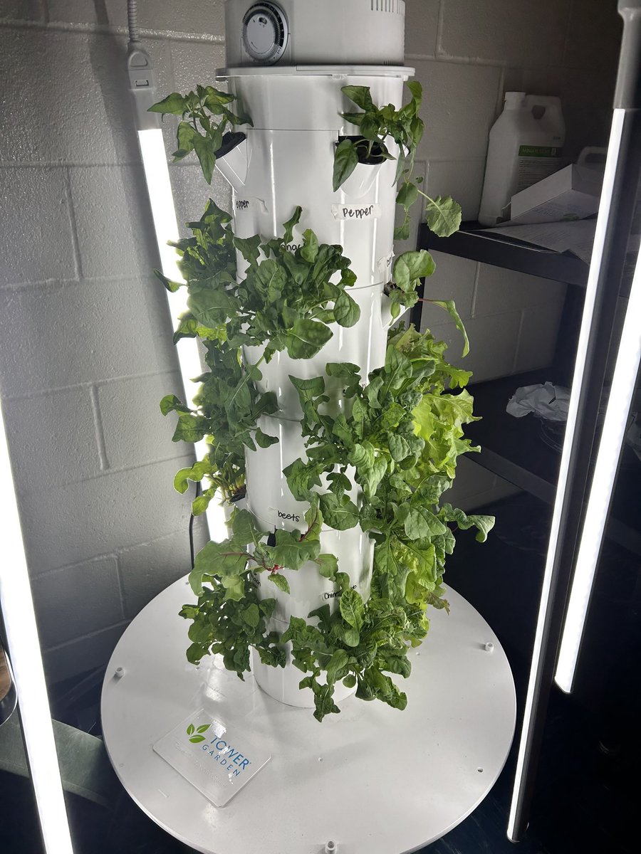 Ms. Clore tweet media