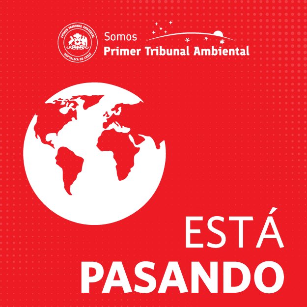 🔴 Se acoge parcialmente la solicitud de empresa Quiborax y se autoriza la realización de actividades de nivelación y transporte de material acopiado en el Salar de Surire, región de Arica y Parinacota #AricayParinacota