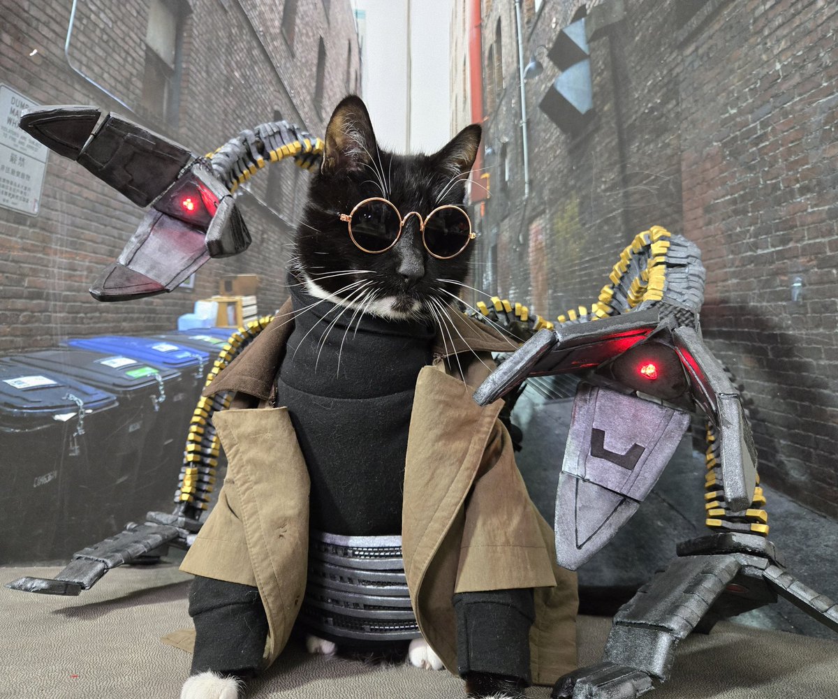 Doctor Catto Octavius 

#SpiderMan #Halloween