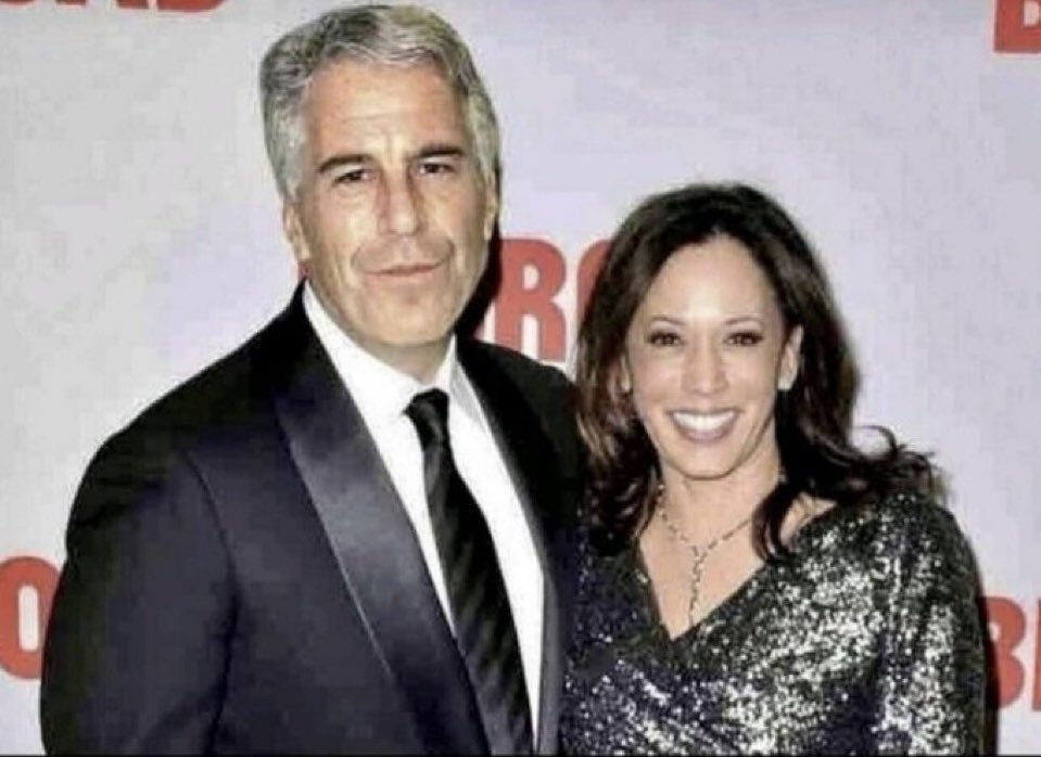 Sunnydaze tweet media