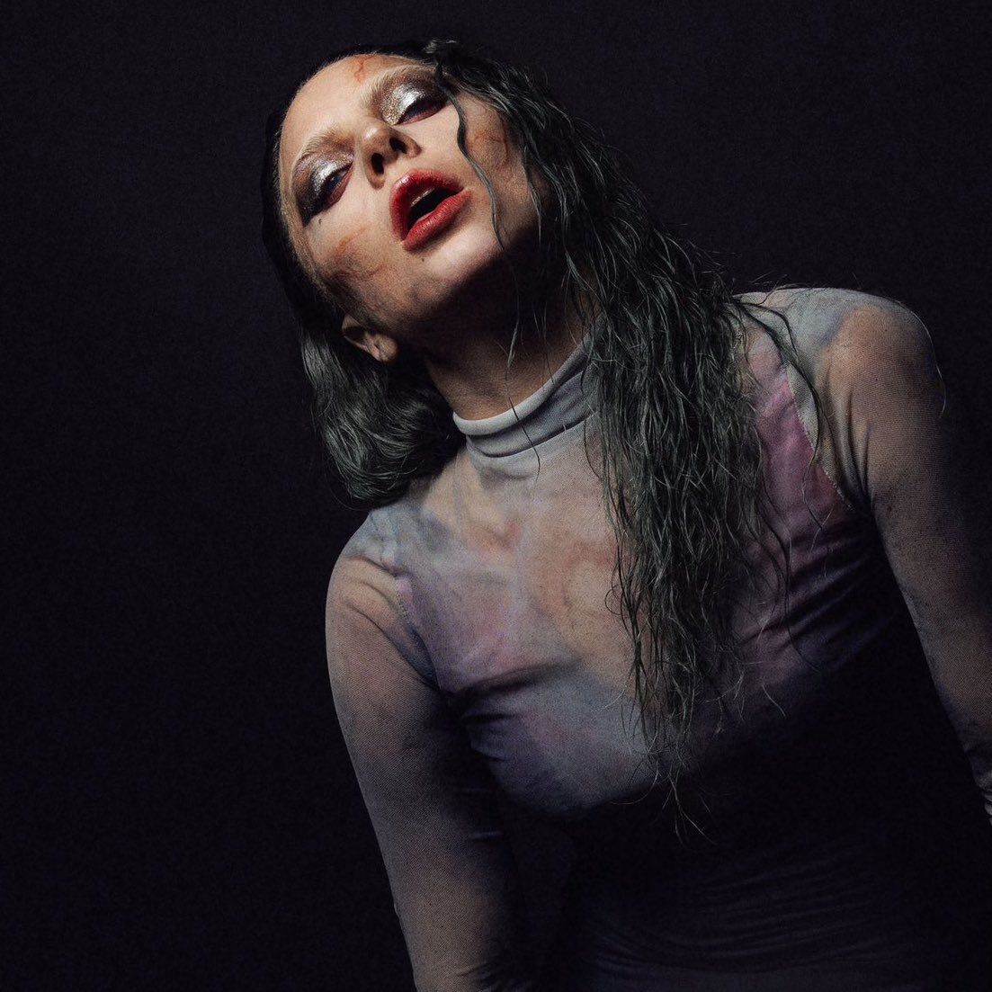ladygaganownet tweet picture